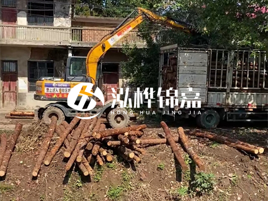 怎么把松木樁打到土里?松木樁要打進去多深?