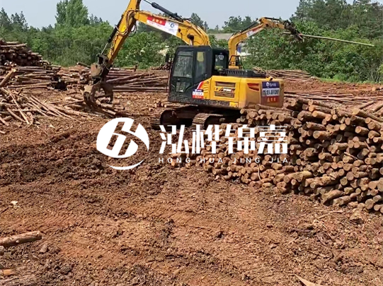 河道松木樁廠家聯(lián)系方式-6米10-15公分價格是多少?