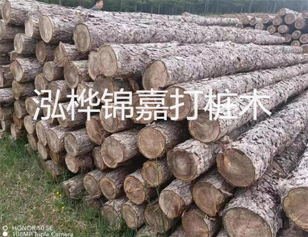 地板打磨翻新價格，讓你的地板煥然一新