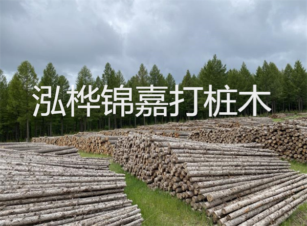 解鎖性價比之選,50厚菠蘿格防腐木價格實惠