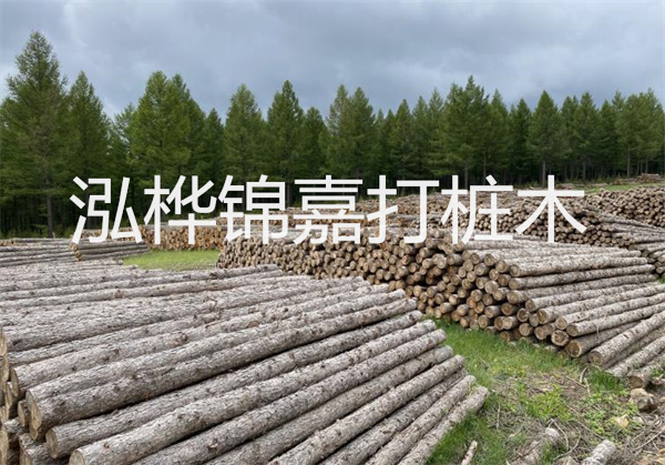 桐木板材和松木板材哪個好-如何選擇適合自己的木板材料?