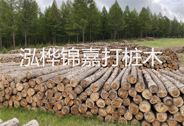 白蠟木床的價格 品質與美觸手可及,