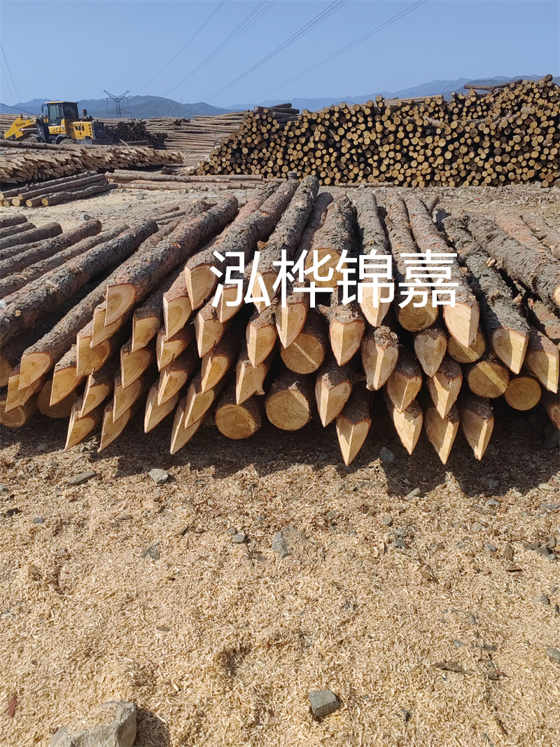 6米長松木樁多少錢一根?淘你所需!