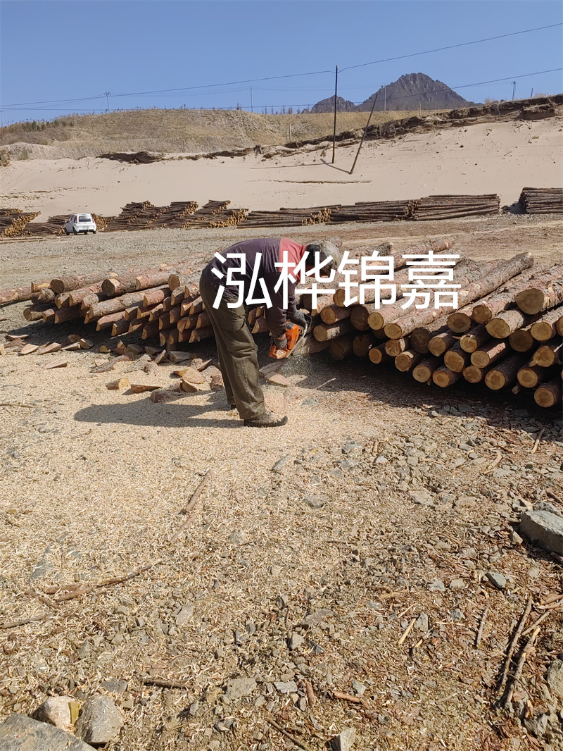 了解100松木樁的價格一立方